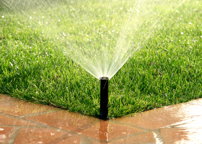 Nawadnianie kropelkowe ogrodu.