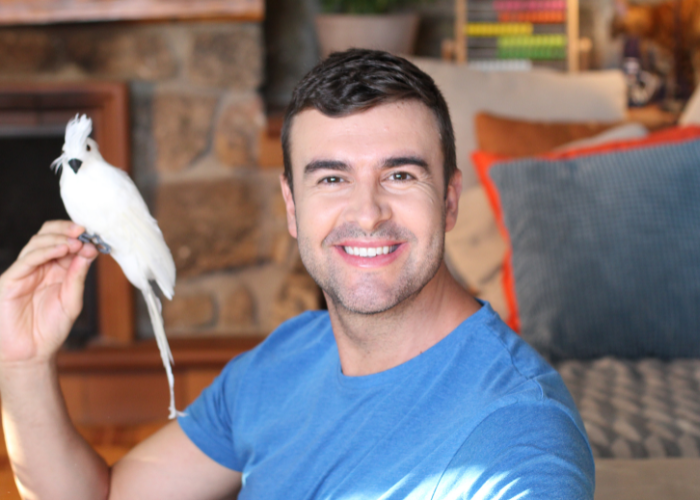 Opieka dla papugi podczas wakacji.