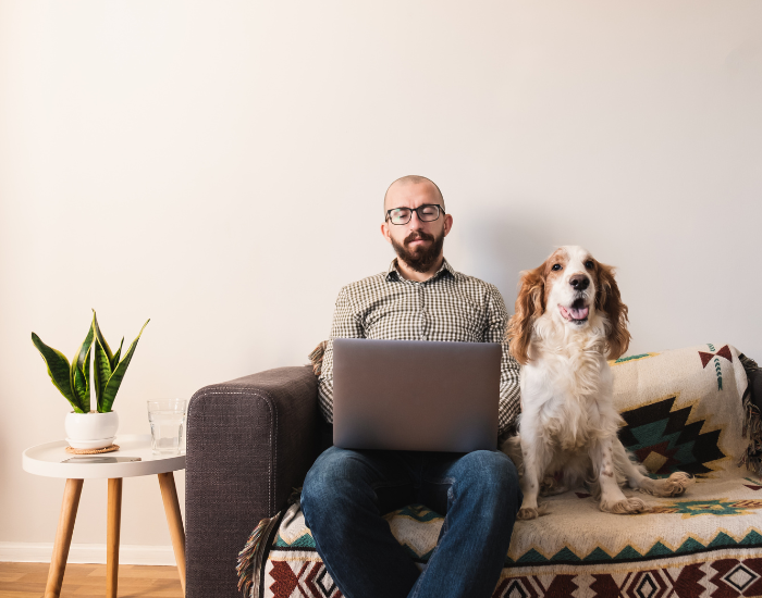 Pies dla pracującego singla.