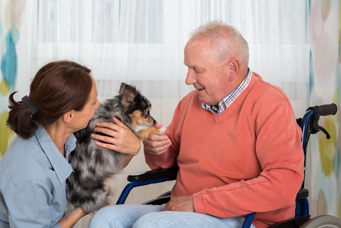 Dogoterapia osób starszych.