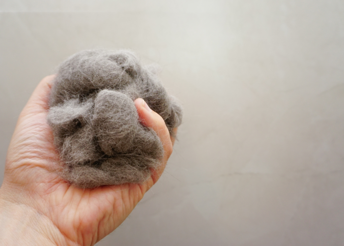 Włosy puchowe, czyli podszerstek.