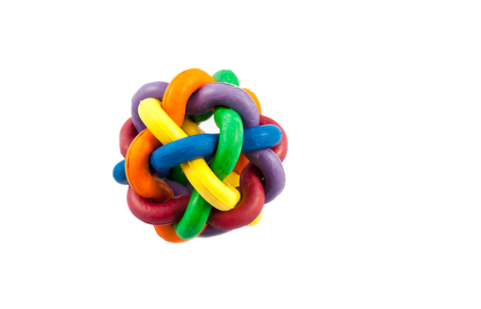 Akcesoria do psiego fitnessu.