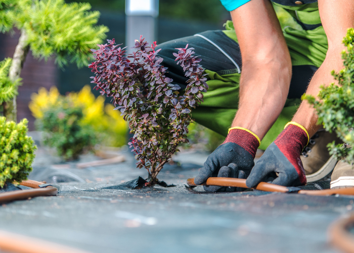 System nawadniania ogrodu.