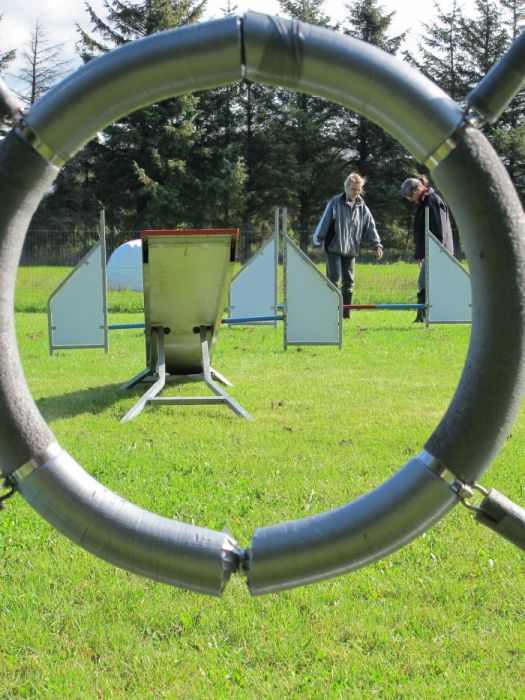 Tor przeszkód do agility.