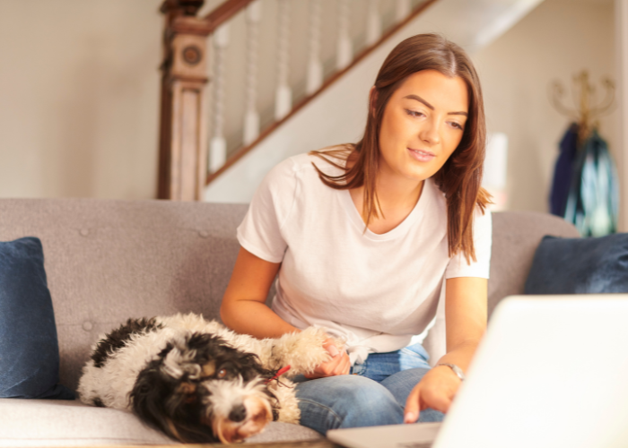 Ubezpiecz swojego psa.