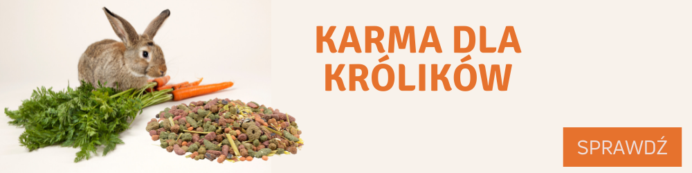 Sprawdź karmy dla królików.