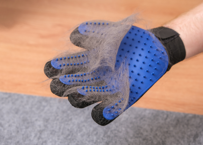 Podszerstek wyciągnięty rękawicą pielęgnacyjną.