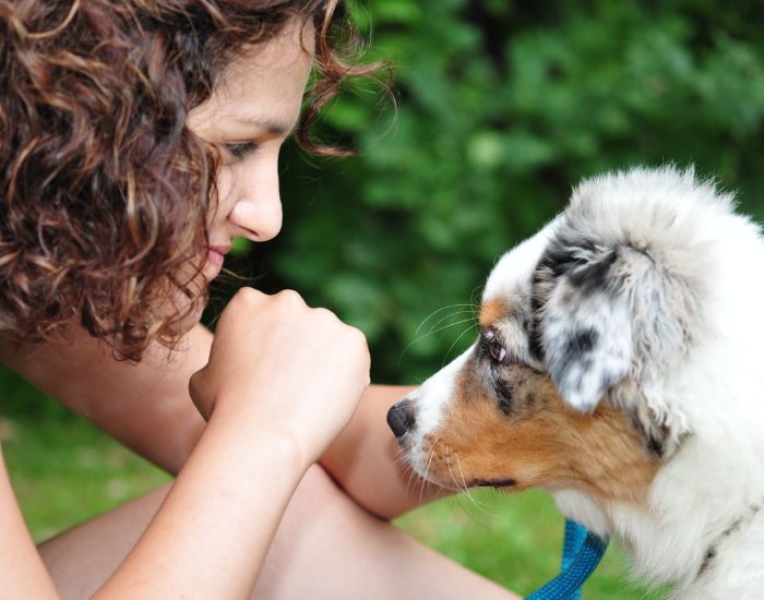 Jak zdobyć zaufanie psa?