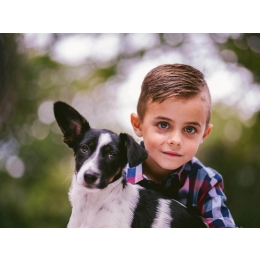 Szczeniak w domu część 1 - Wybór psa