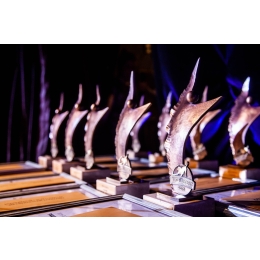 Fera.pl kolejny raz najlepszym sklepem internetowym w plebiscycie TOP FOR DOG!