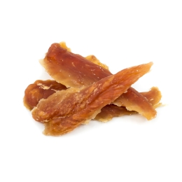 Drób w diecie psa i kota - fakty i mity