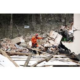 Psy, które ratują życie! Poznaj pracę psów ratowników