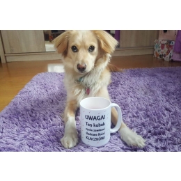 Moja Historia Adopcji - cz. 1 Zuzia