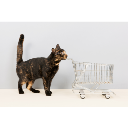 Zalety korzystania z aplikacji sklepu zoologicznego Fera