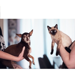 Behawiorysta zwierzęcy - zawód z pasji