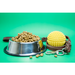 Karmy doskonałe dla psów, przyjazne dla środowiska