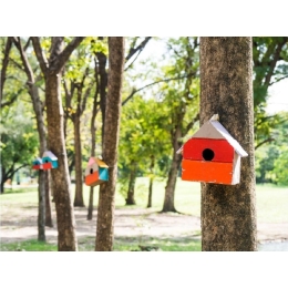 Budka lęgowa dla ptaków