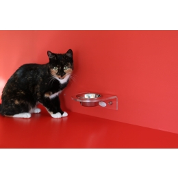 Dieta BARF dla kota - czy powinno się podawać kotom surowe mięso?