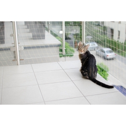 Jak zamontować siatkę na balkon dla kota? Czy zawsze jest potrzebna?