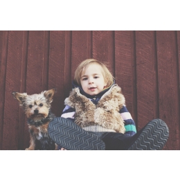 Psy z włosami – rasy odpowiednie dla alergików