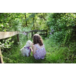 Psy dla dzieci – jaką rasę wybrać? Czym powinien charakteryzować się pies dla dziecka?