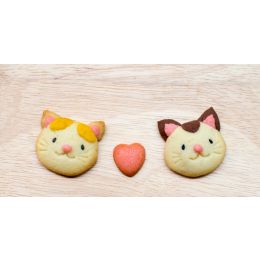 Przepisy na ciasteczka dla kota - TOP 3