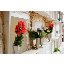 Cmentarze dla zwierząt - miejsce pochówku czworonożnych przyjaciół