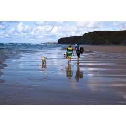 Wyjazd nad morze z psem – jak dobrze się do niego przygotować?