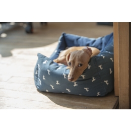 Nosówka – groźna choroba psów. Przyczyny, objawy i leczenie