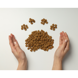 Dlaczego warto stosować karmy weterynaryjne?