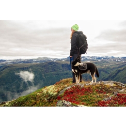 Dogtrekking – czym są wędrówki z psem i jak je rozpocząć?