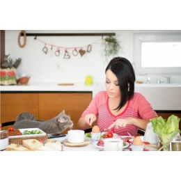 Domowe jedzenie dla kota – czy to dobry pomysł?