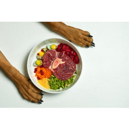 Jaki rodzaj dziczyzny jest najlepszy dla psa? Jakie właściwości ma dziczyzna?