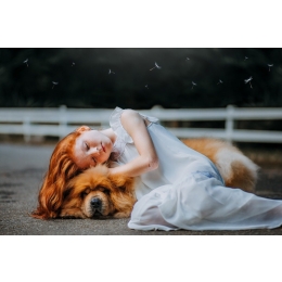 Pies i dziecko – co zrobić, gdy w domu pojawia się niemowlę?