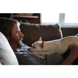 Dlaczego szczeniak wymiotuje? Jak mu pomóc?