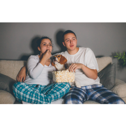 TOP filmy o psach! Czy znasz je wszystkie?