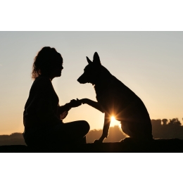 Jak zdobyć zaufanie psa?