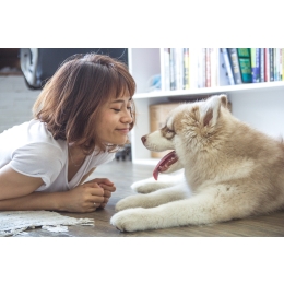 Zabawy z psem w domu. Pomysły na wspólne spędzanie czasu z psem