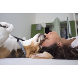 Głaskanie psa ma znaczenie! Sprawdź, jak sprawić psu najwięcej radości