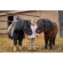 Hipoterapia, czyli terapia z końmi