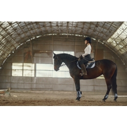 Nauka jazdy konnej – wszystko co musisz wiedzieć o sprzęcie i ubiorze jeździeckim