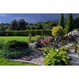 Jak zrobić skalniak przed domem i jakie wybrać kwiaty do skalniaka?