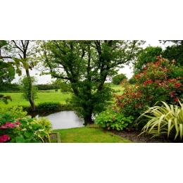 O czym należy pamiętać, aby cieszyć się pięknym oczkiem wodnym?