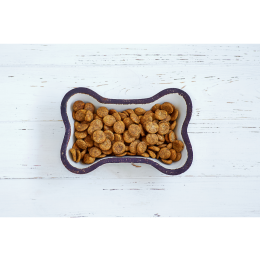 Karmy Royal Canin - zindywidualizowane żywienie psów i kotów