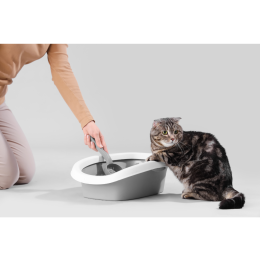 Krew w moczu u kota - co robić? Reaguj!