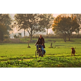 Wycieczki rowerowe z psem - jak zacząć?