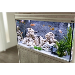 Czym są okrzemki i jak się ich pozbyć?