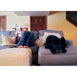 Lęk separacyjny u psa – objawy, przyczyny, sposoby leczenia