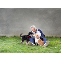 Jaki pies sprawdzi się dla osoby starszej?