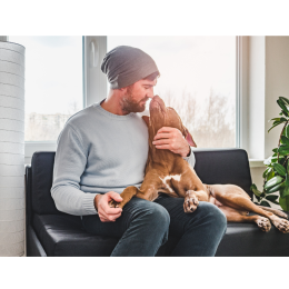 Jaki jest idealny pies dla singla?